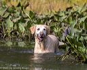 20220925-shw-0043