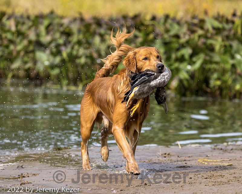 20220925-shw-0093.jpg