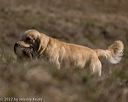 20221008-wcl-0095
