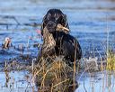20221008-wcw-0138