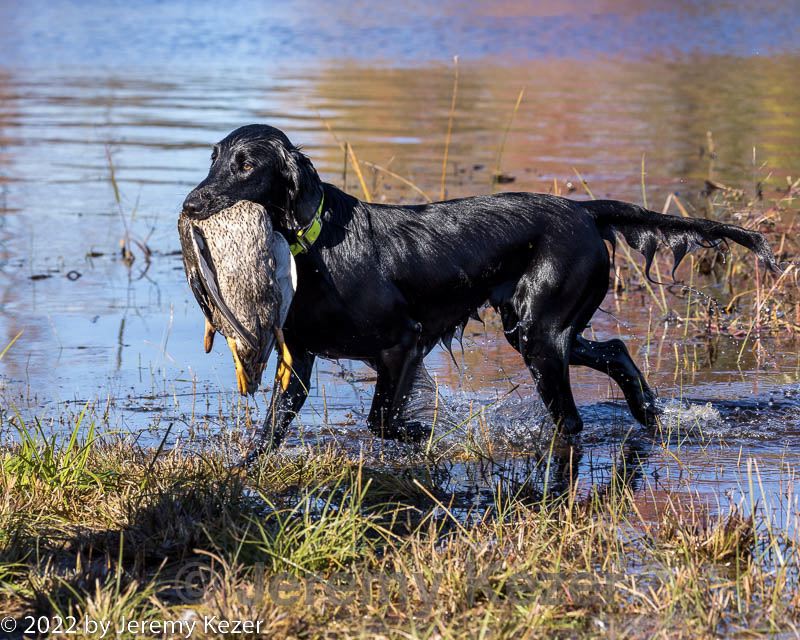 20221008-wcw-0062.jpg