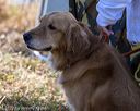 20221008-wcxl-0045