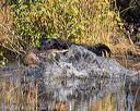 20221008-wcxw-0102