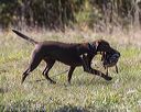 20221009-pwl-0028