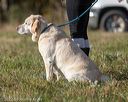 20221009-wcl-0002