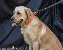 20221009-wcl-0028