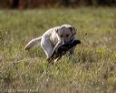 20221009-wcl-0198