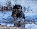 20221009-wcw-0328