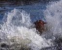 20221009-wcw-0386