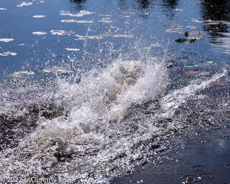 20221009-wcw-0361.jpg