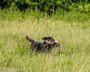 20230805-shl-0020