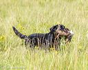20230805-shl-0021