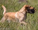20230805-shl-0168