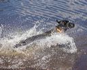 20230806-jhw-0021