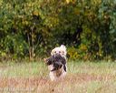 20231007-wcxl-0134