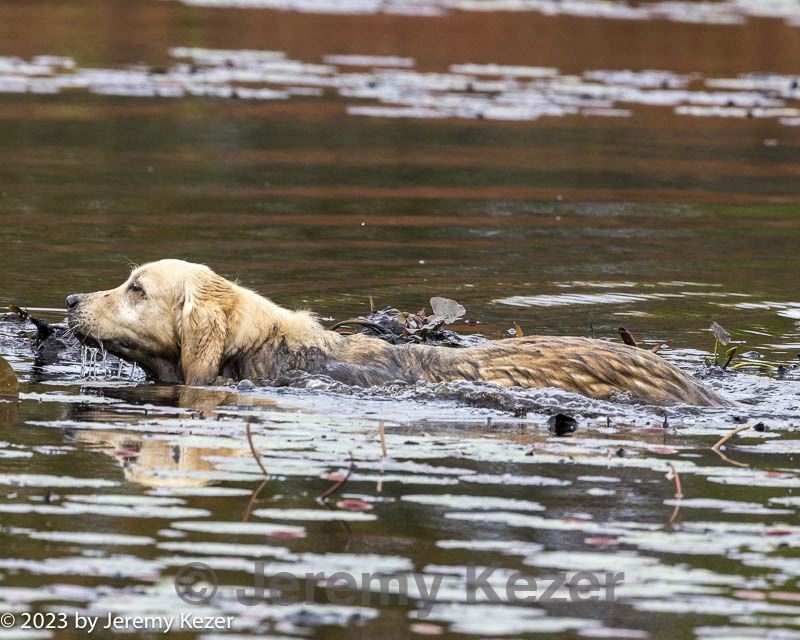 20231007-wcxw-0101.jpg