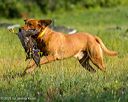 20250726-jhl-0058