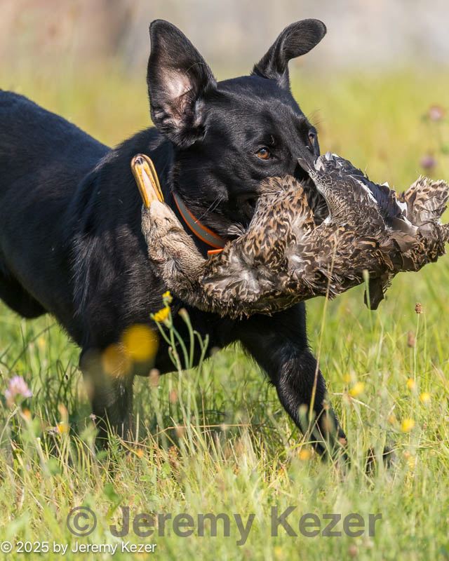 20250726-jhl-0065.jpg