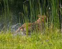 20250726-jhw-0031