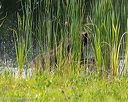 20250726-jhw-0107