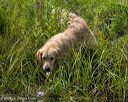 20250726-jhw-0223