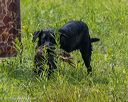 20250726-jhw-0296