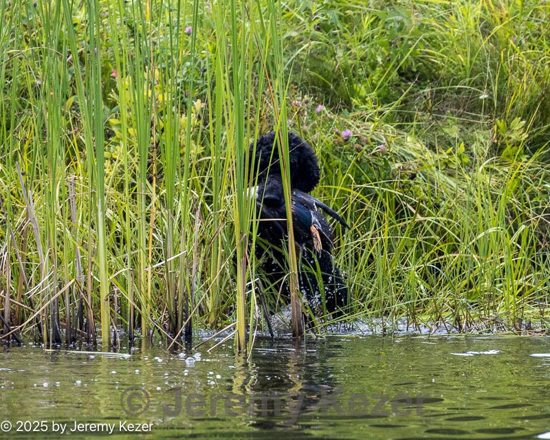 20250726-jhw-0337.jpg