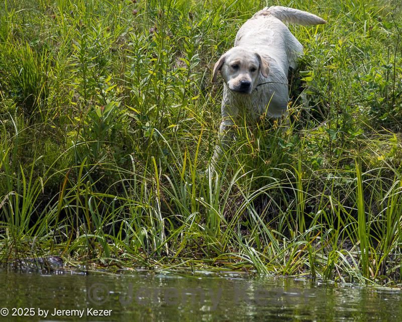 20250726-jhw-0477.jpg