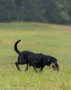 20250727-shl-0113