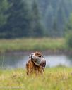 20250727-shl-0192