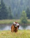 20250727-shl-0193