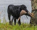 20250727-shw-0011