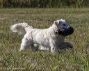 20251004-wcl-0052