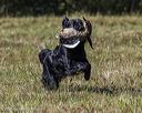20251004-wcl-0128