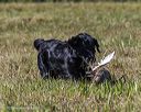 20251004-wcl-0131