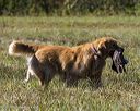 20251004-wcl-0178
