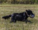 20251004-wcl-0189