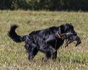20251004-wcl-0191
