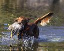20251004-wcw-0159