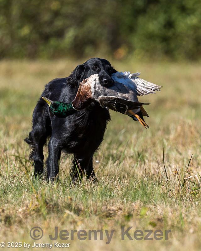 20251004-wcxl-0097.jpg