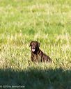 20251011-shl-0048