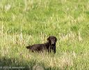 20251011-shl-0078