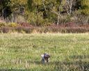 20251011-shl-0098