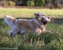 20251011-shl-0101