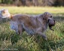 20251011-shl-0102