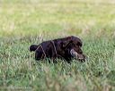20251011-shl-0119