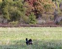 20251011-shl-0131