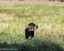 20251011-shl-0174