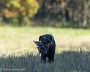 20251011-shl-0194