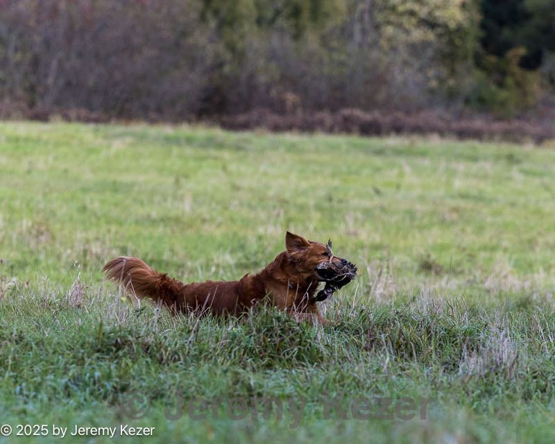 20251011-shl-0016.jpg